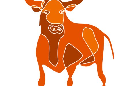 属牛下半年运势分析2023感情运最强