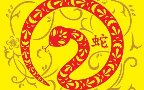 1965属蛇男2023年运势吉凶参半，属蛇的2023年运势和财运怎么样