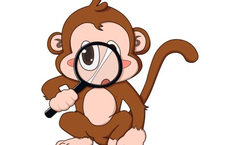 属猴人2023年全年运势运程女性 生肖猴2023年运势及运程详解