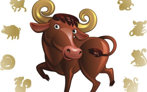 女属牛的最佳配偶属相是什么，属牛男最佳配偶属相是什么