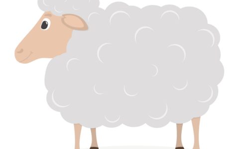 属羊人2023年必遭遇的灾难是什么，如何化解？