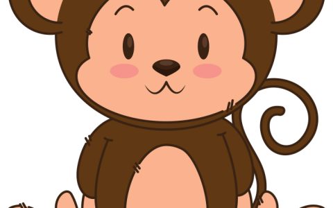 1980属猴女的42岁以后运气 好运绵绵 运势佳