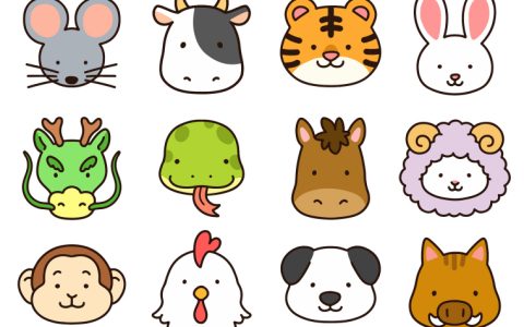 幼儿园大班语言《十二生肖》教案