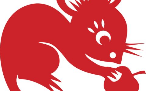 生肖鼠男婚配属相最佳配对，属鼠男性适合的婚配属相
