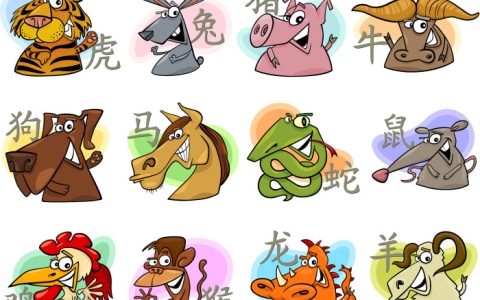 12属相什么命自查表 12属相是什么生肖属性