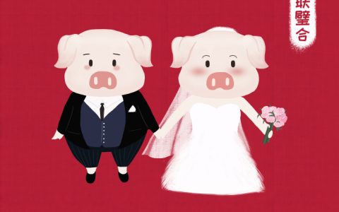 1983属猪人命里带二婚 83年女主第二次婚姻哪年