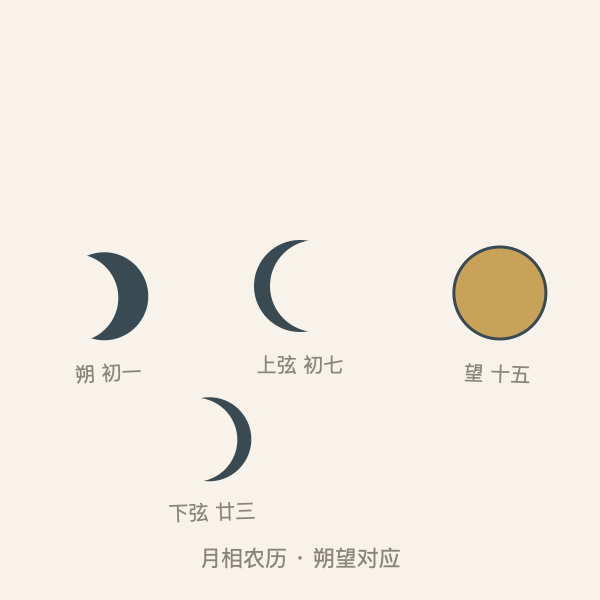 农历月相示意