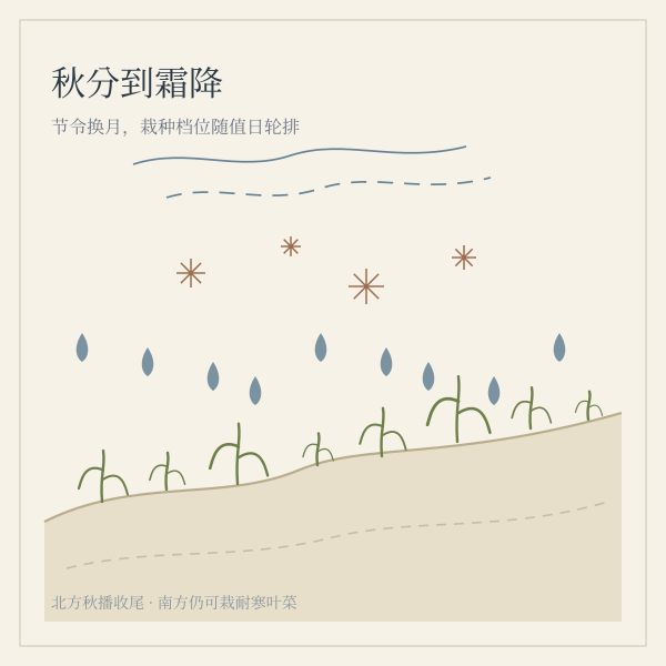节气与栽种农时插画